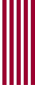 vertical-red-lines